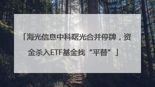 海光信息中科曙光合并停牌，资金杀入ETF基金找“平替”