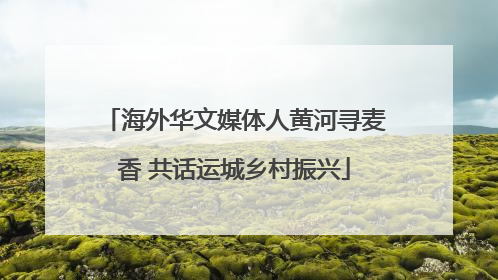 海外华文媒体人黄河寻麦香 共话运城乡村振兴