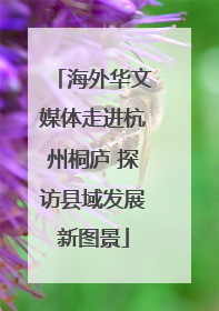 海外华文媒体走进杭州桐庐 探访县域发展新图景