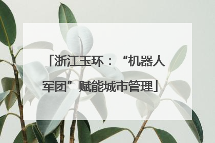 浙江玉环：“机器人军团”赋能城市管理