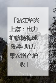 浙江绍兴上虞：电力护航杨梅成熟季 助力果农增产增收