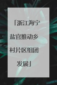 浙江海宁盐官推动乡村片区组团发展