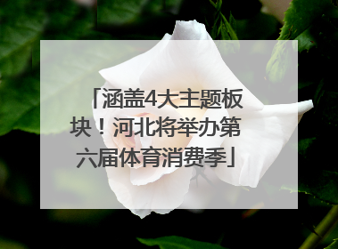 涵盖4大主题板块！河北将举办第六届体育消费季