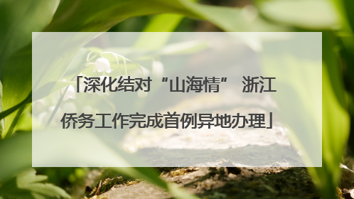 深化结对“山海情” 浙江侨务工作完成首例异地办理