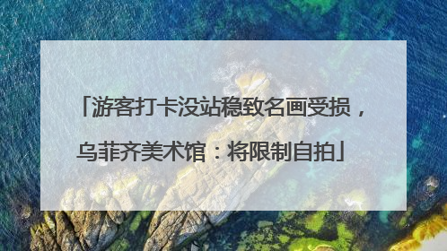 游客打卡没站稳致名画受损，乌菲齐美术馆：将限制自拍