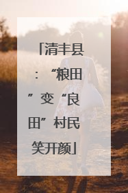 清丰县：“粮田”变“良田”村民笑开颜