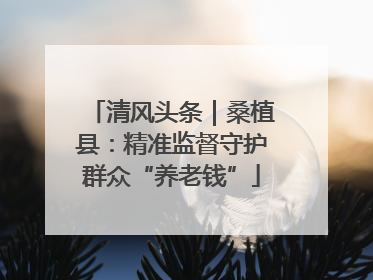 清风头条｜桑植县：精准监督守护群众“养老钱”