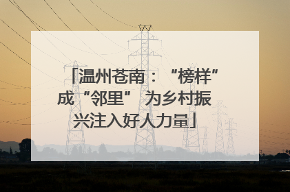 温州苍南：“榜样”成“邻里” 为乡村振兴注入好人力量