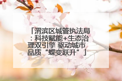 渭滨区城管执法局：科技赋能+生态治理双引擎 驱动城市品质“蝶变跃升”