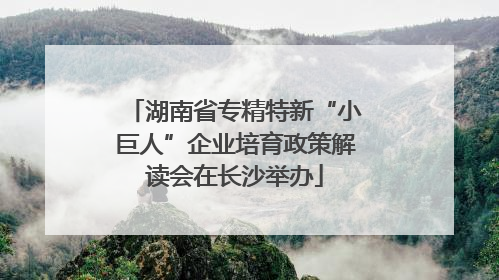 湖南省专精特新“小巨人”企业培育政策解读会在长沙举办