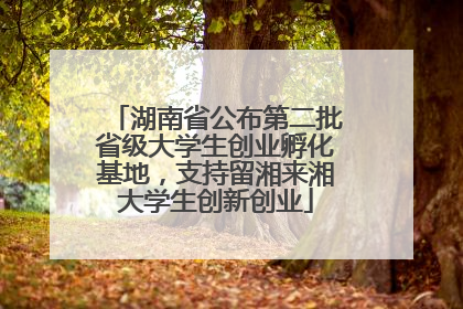 湖南省公布第二批省级大学生创业孵化基地，支持留湘来湘大学生创新创业