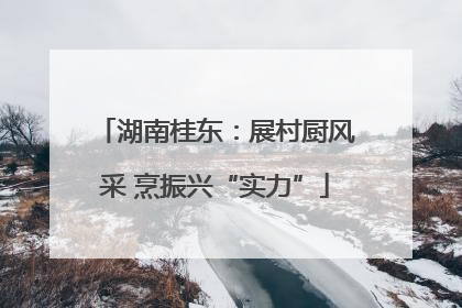 湖南桂东：展村厨风采 烹振兴“实力”