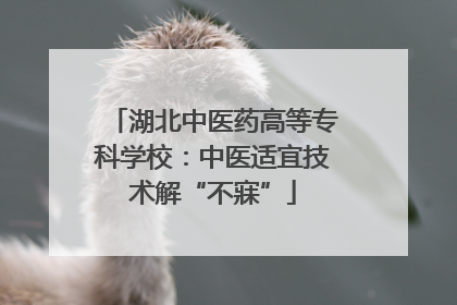 湖北中医药高等专科学校：中医适宜技术解“不寐”