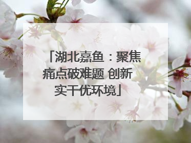 湖北嘉鱼：聚焦痛点破难题 创新实干优环境
