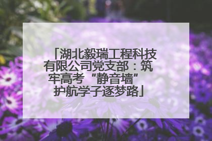 湖北毅瑞工程科技有限公司党支部：筑牢高考“静音墙” 护航学子逐梦路