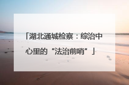 湖北通城检察：综治中心里的“法治前哨”