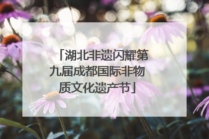 湖北非遗闪耀第九届成都国际非物质文化遗产节