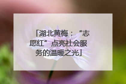 湖北黄梅：“志愿红”点亮社会服务的温暖之光