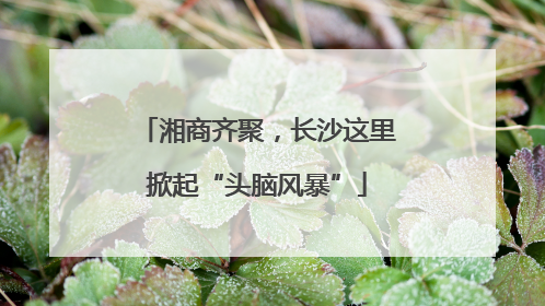 湘商齐聚，长沙这里掀起“头脑风暴”