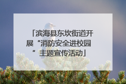 滨海县东坎街道开展“消防安全进校园”主题宣传活动
