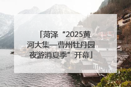 菏泽“2025黄河大集—曹州牡丹园夜游消夏季”开幕