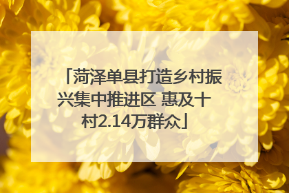 菏泽单县打造乡村振兴集中推进区 惠及十村2.14万群众