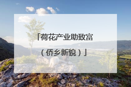 荷花产业助致富（侨乡新貌）