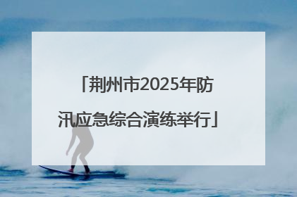 荆州市2025年防汛应急综合演练举行
