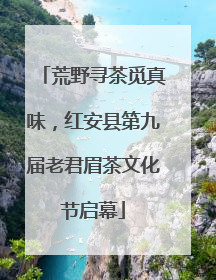 荒野寻茶觅真味，红安县第九届老君眉茶文化节启幕