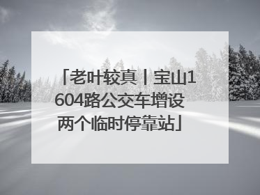 老叶较真丨宝山1604路公交车增设两个临时停靠站