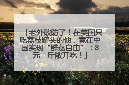 老外破防了！在美国只吃荔枝罐头的他，竟在中国实现“鲜荔自由”：8元一斤敞开吃！