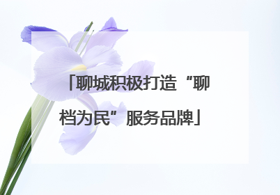 聊城积极打造“聊档为民”服务品牌