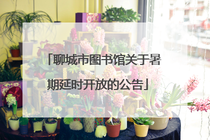 聊城市图书馆关于暑期延时开放的公告