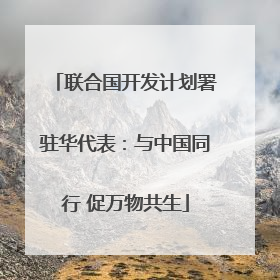 联合国开发计划署驻华代表：与中国同行 促万物共生