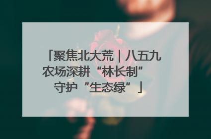 聚焦北大荒｜八五九农场深耕“林长制” 守护“生态绿”