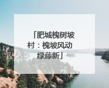 肥城槐树坡村：槐坡风动绿藤新