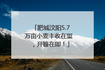 肥城汶阳5.7万亩小麦丰收在望，开镰在即！