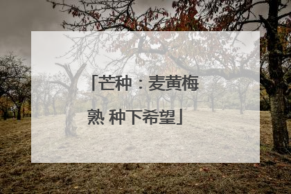 芒种：麦黄梅熟 种下希望