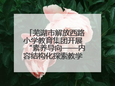 芜湖市解放西路小学教育集团开展“素养导向——内容结构化探索教学实践”数学专题研讨活动