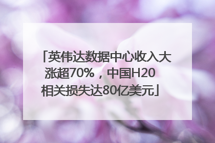 英伟达数据中心收入大涨超70%，中国H20相关损失达80亿美元