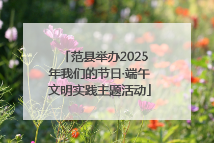 范县举办2025年我们的节日·端午文明实践主题活动