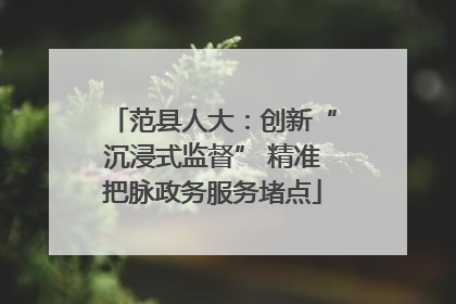 范县人大：创新“沉浸式监督” 精准把脉政务服务堵点