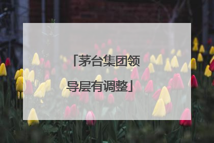 茅台集团领导层有调整