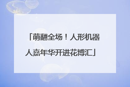 萌翻全场！人形机器人嘉年华开进花博汇