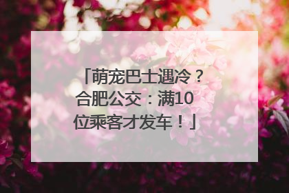 萌宠巴士遇冷？合肥公交：满10位乘客才发车！