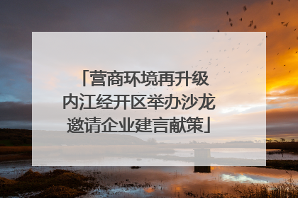 营商环境再升级 内江经开区举办沙龙邀请企业建言献策