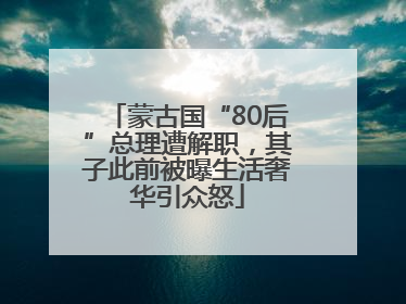 蒙古国“80后”总理遭解职，其子此前被曝生活奢华引众怒