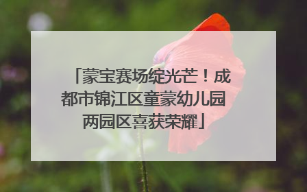 蒙宝赛场绽光芒！成都市锦江区童蒙幼儿园两园区喜获荣耀