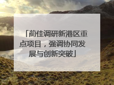 蔺佳调研新港区重点项目，强调协同发展与创新突破