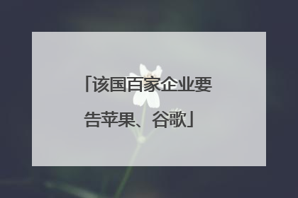 该国百家企业要告苹果、谷歌